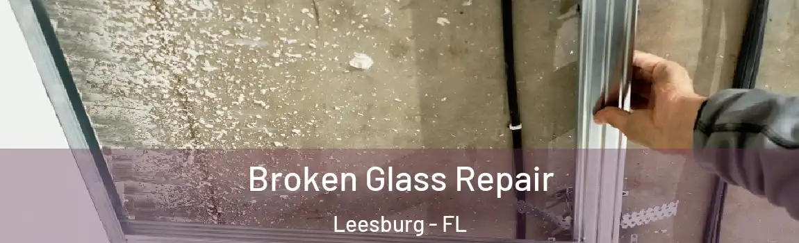 Broken Glass Repair Leesburg - FL