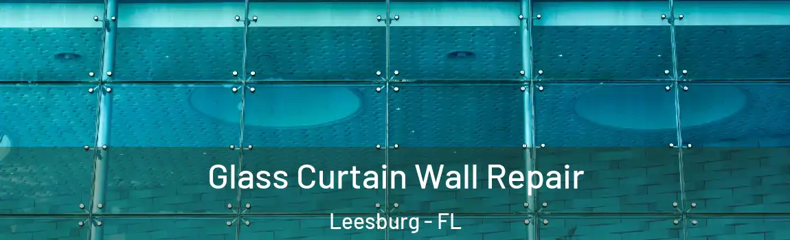 Glass Curtain Wall Repair Leesburg - FL