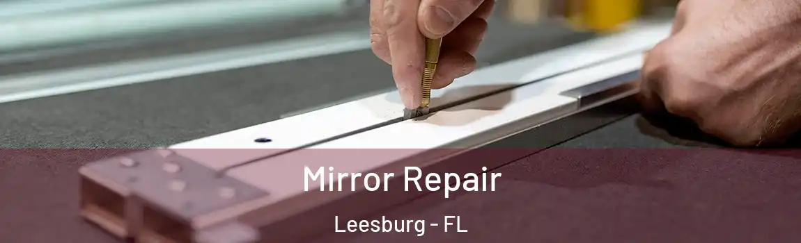  Mirror Repair Leesburg - FL