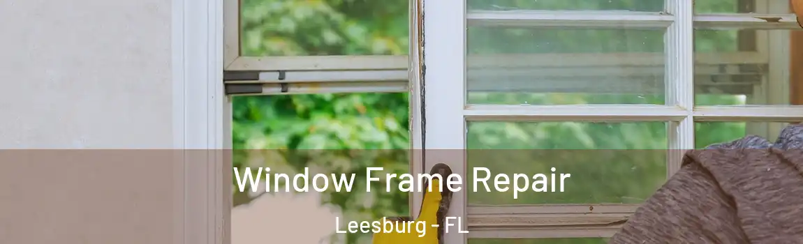 Window Frame Repair Leesburg - FL