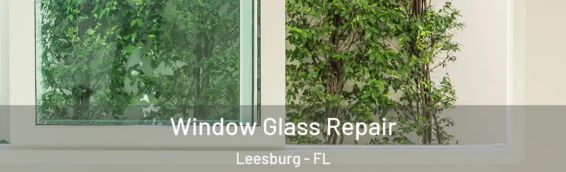Window Glass Repair Leesburg - FL