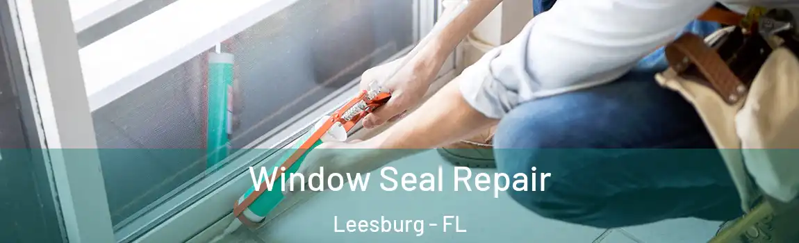 Window Seal Repair Leesburg - FL